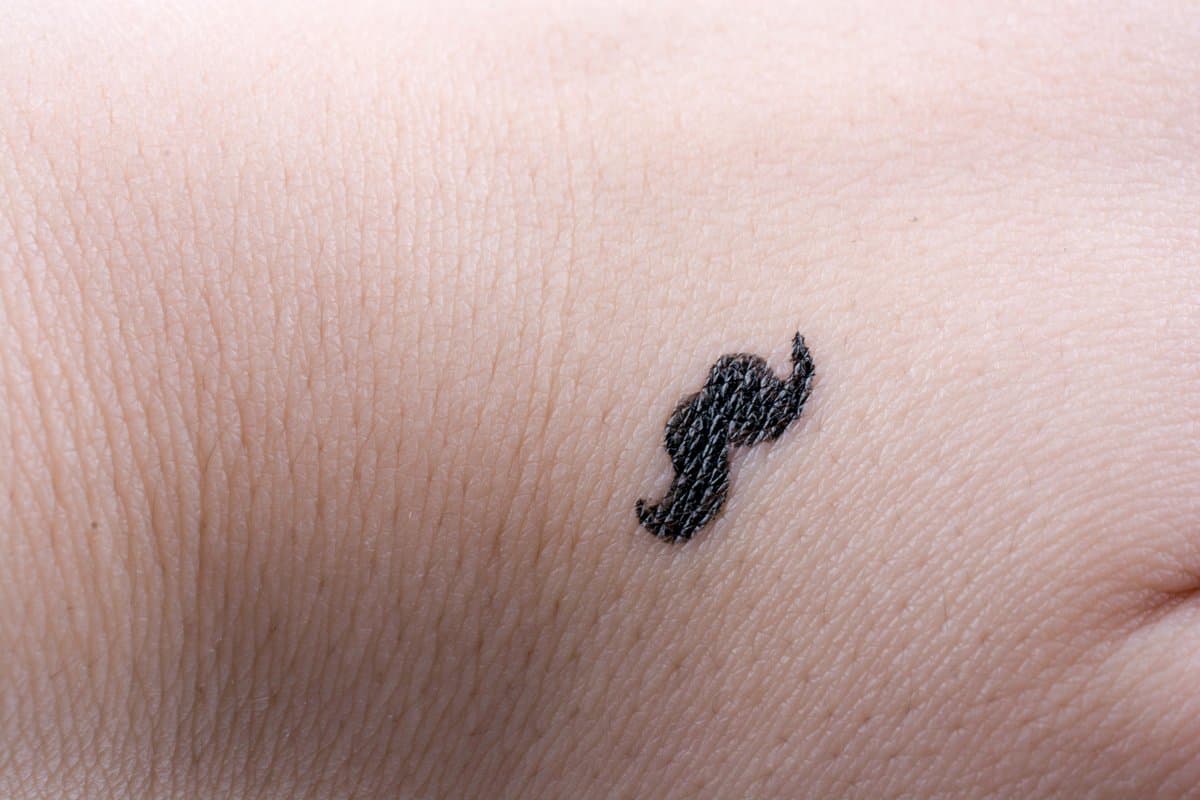 A y B: Asimetría e Irregularidad del Borde